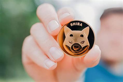 Мем-коин Shiba Inu обновил АТН, а после обвалился на 27% - INCRYPTED