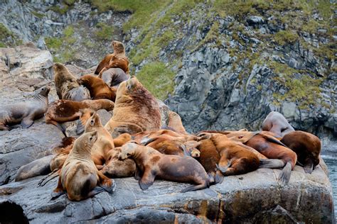 🥇 Kamchatka Photo Tour: Volcanoes landscapes