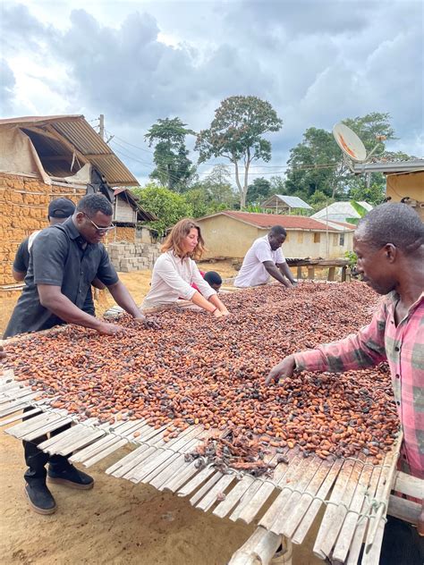Whittaker’s announces changes to its chocolate amid cocoa bean shortage