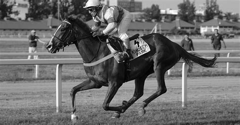 Riderline | Elment Letty, korszakának egyik legkiemelkedőbb versenylova ...