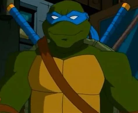 TMNT 2003 | Leonardo tmnt, Teenage mutant ninja turtles art, Teenage ...