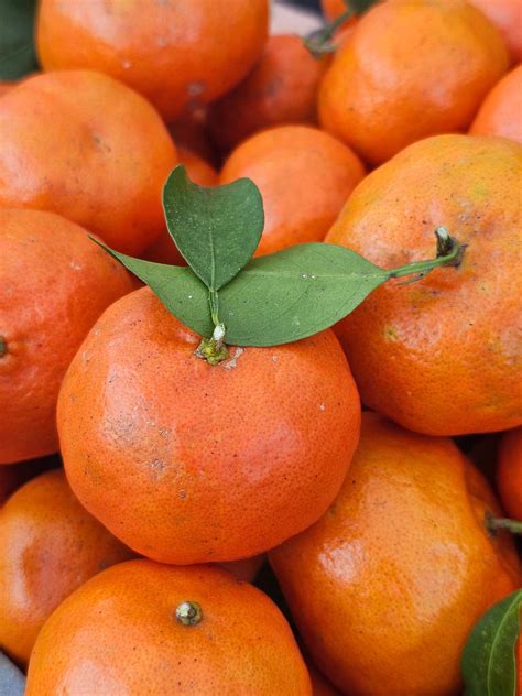 Customers are praising the staff at the UPS Store Sarasota 10