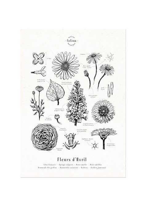 Buy wholesale Poster April Flowers