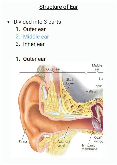 solution structure  ear summary note studypool