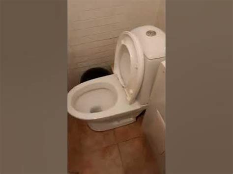 Прикольный туалет )) - YouTube
