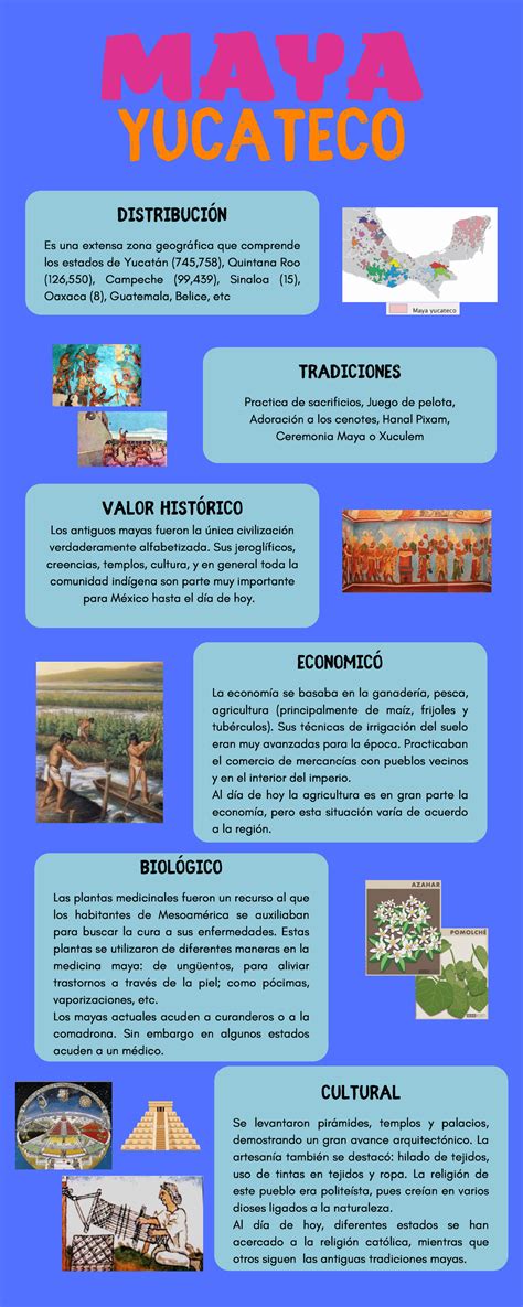 Civilización Maya - Infografía para mayor comprensión - MAYA YUCATECO