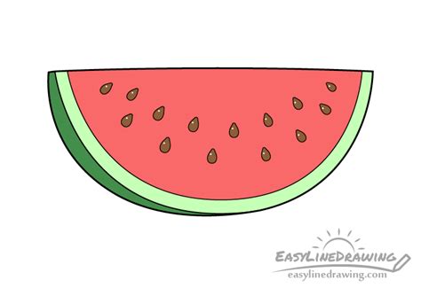 Watermelon Fruit Drawing