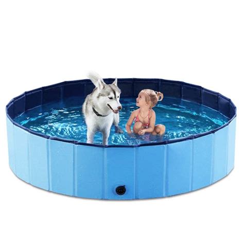 Best Swimming Pools For Dogs of 2021: Top 4 Choises | Dogsrecommend