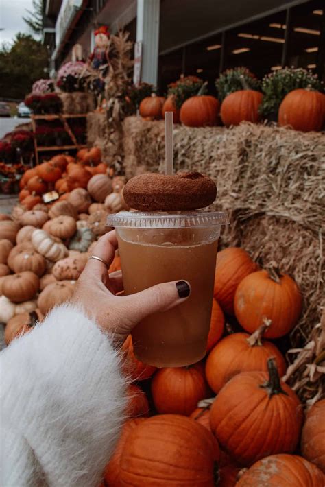 Connecticut fall foliage guide best places to experience the autumn