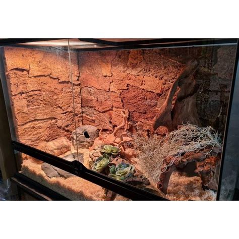 Kork-Deko.de Terrarienrückwand, Korkrinde (Naturkork) als natürlicher ...
