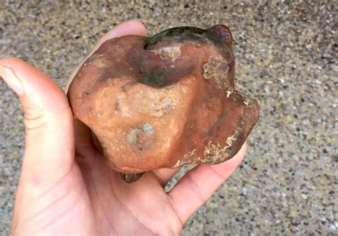 Mosasaur Vertebra in matrix(1) - Member Collections - The Fossil Forum