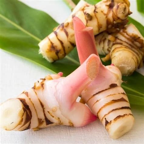 Jual laos lengkuas bumbu 1kg | Shopee Indonesia