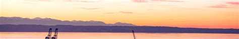 contact everett wa official website