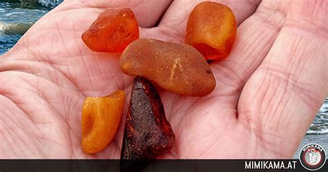 Verbrennungsgefahr: Phosphor statt Bernstein - mimikama