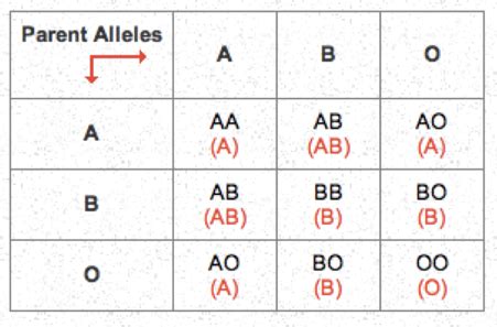 CC | An introduction to blood types: genotype, phenotype, inheritance, transfusion, and more!