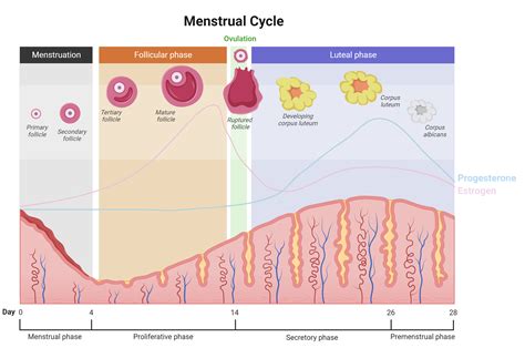 theblood – Revolutionizing the Gender Data Gap