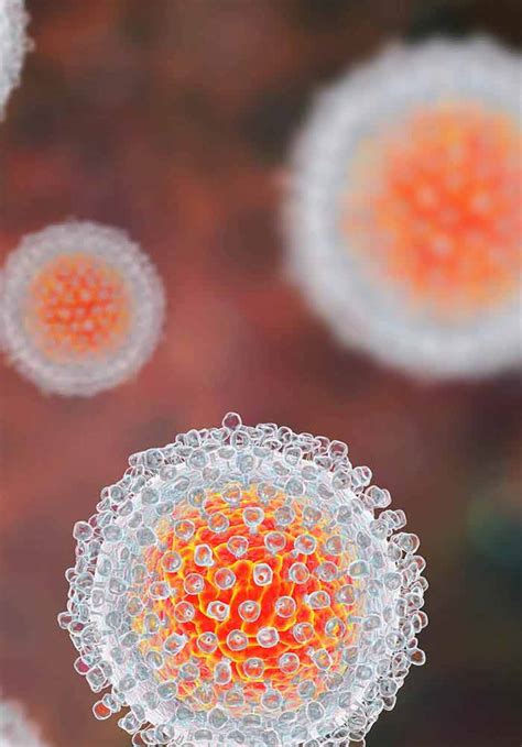 Hepatitis C Virus Microscope