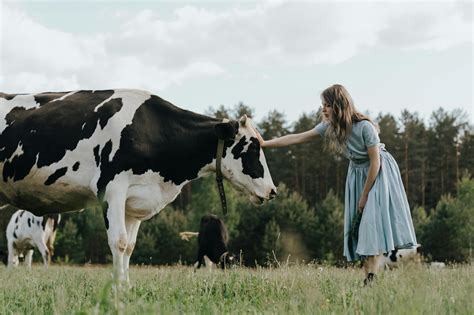 Cow Girls Photos, Download The BEST Free Cow Girls Stock Photos & HD Images
