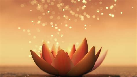 Spirituality vs. Religion: The Fundamental Differences