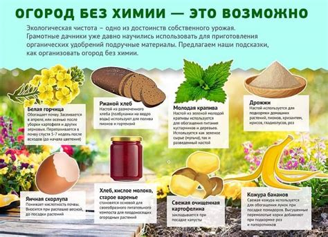 Органические удобрения: их виды и характеристика