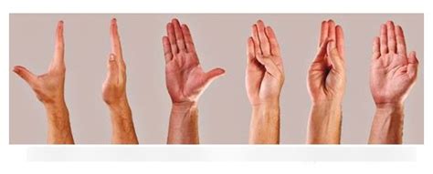 diagram  thumb positions quizlet