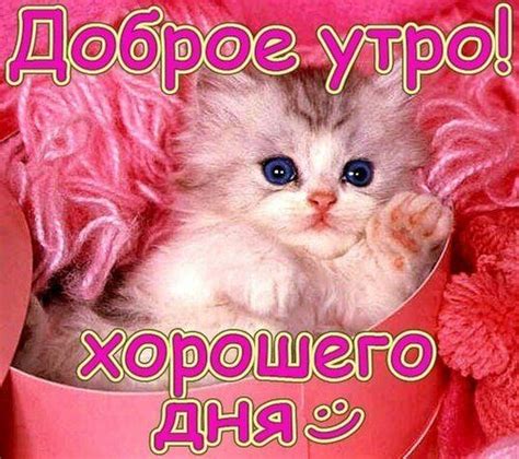 Доброе утро любовь моя - красивые пожелания на каждый день