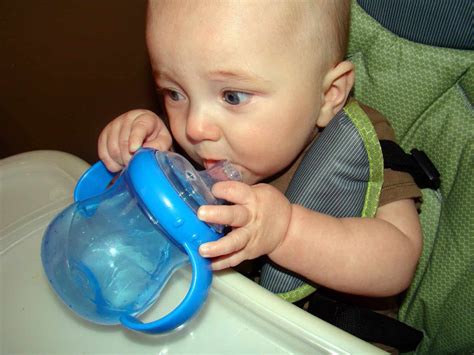 sippy cup  journey  parenthood