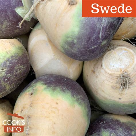 Swede - CooksInfo