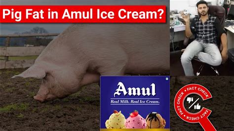 FACT CHECK: Is Amul Ice Cream Haram due to E-471 Containing Pig Fat ...