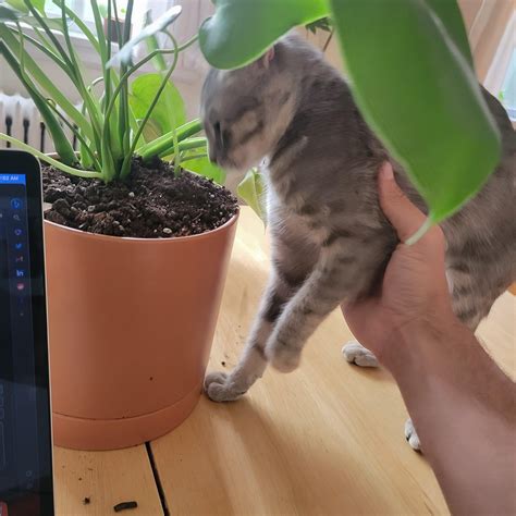 Heartwarming stories found within the recent obituaries for saskatoon 2