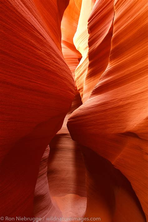 Secret Canyon | Page, Arizona. | Photos by Ron Niebrugge