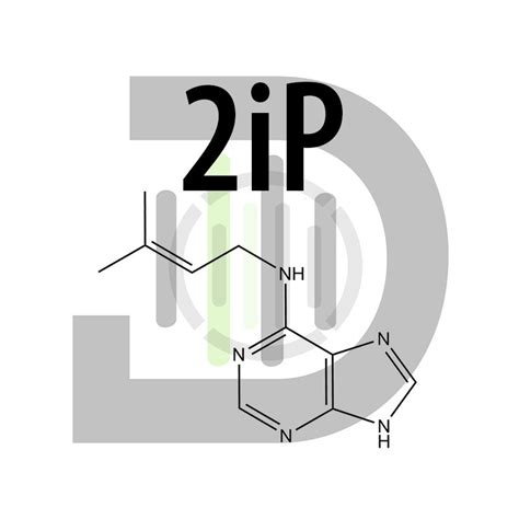 2iP | N6-(2-Isopentenyl)adenine