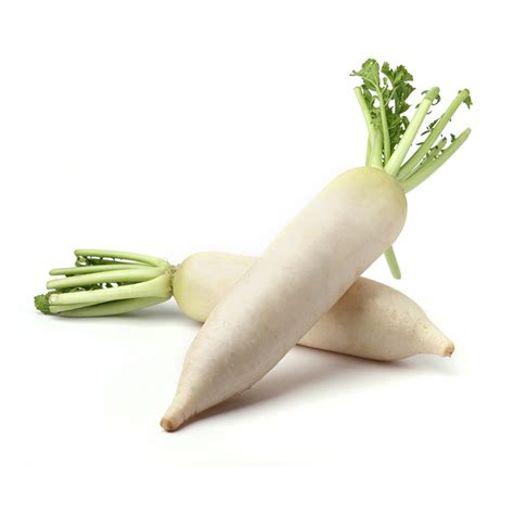 daikon dandrea