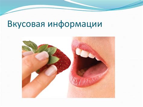 Рецепторы - презентация онлайн