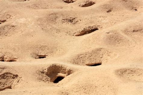 HOLES Vocabulary | Quizizz
