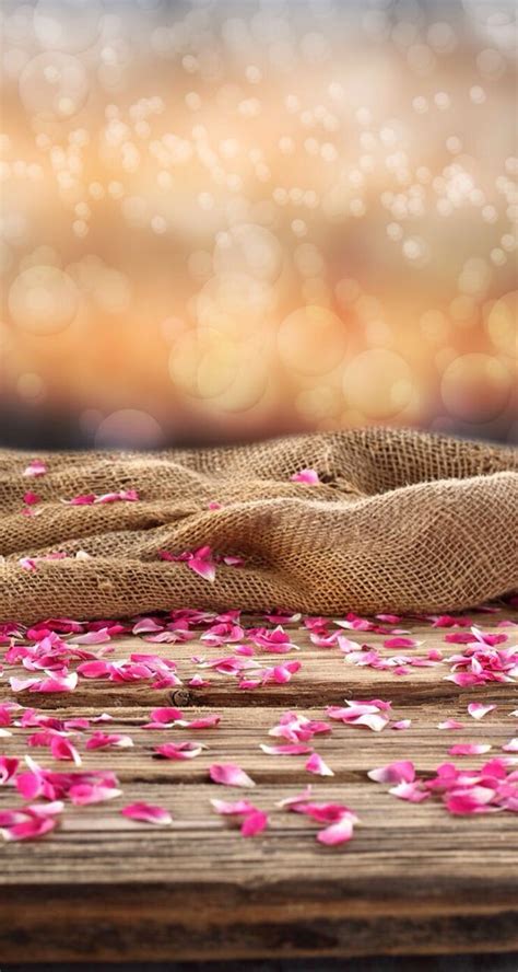Arora Decors/Decorator (@aroradecors) • Instagram profile | Nature ...