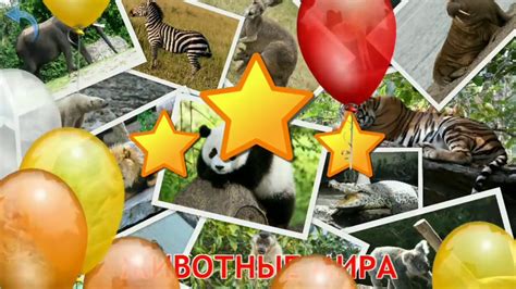 Карточки Домана Часть 3 Животные мира - YouTube