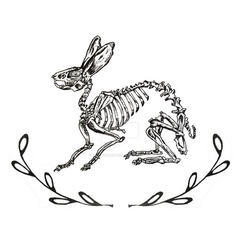 Rabbit Skeleton Drawing at PaintingValley.com | Explore collection of ...