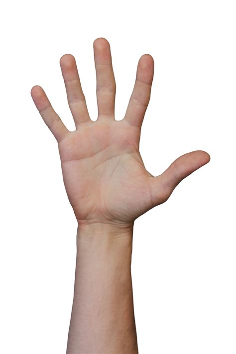 human hands palm gestures realistic transparent images  png