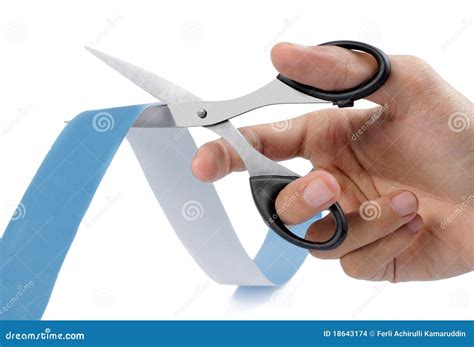 cutting stock photo image  accessories black education
