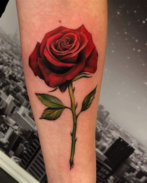 Red Rose Stem Tattoos