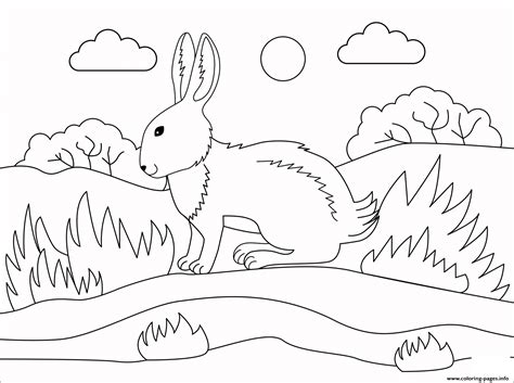 Bunny Animal Simple Coloring page Printable