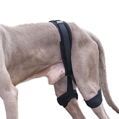 Dog leg brace for hip dysplasia