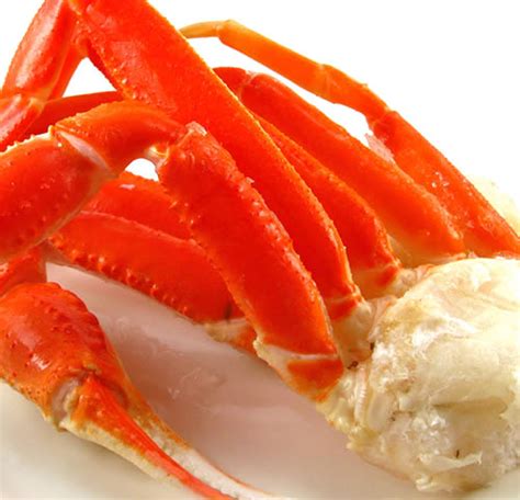 Snow Crab Meat