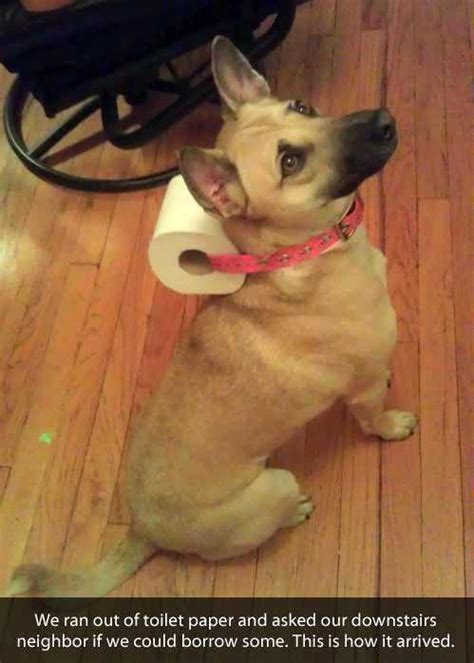 TP Roscoe to the rescue! - Meme subido por TheOmegaOperative :) Memedroid