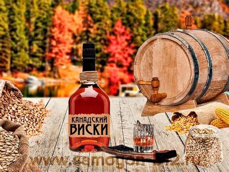Что происходит с виски после бочки? "Кислород" Часть 2. | Самогонъ-Б12 ...