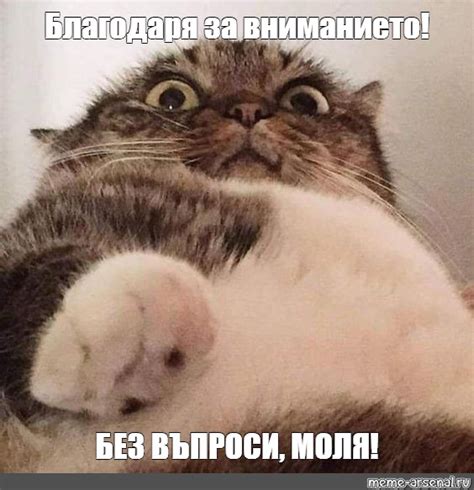 Meme: "Благодаря за вниманието! БЕЗ ВЪПРОСИ, МОЛЯ!" - All Templates ...
