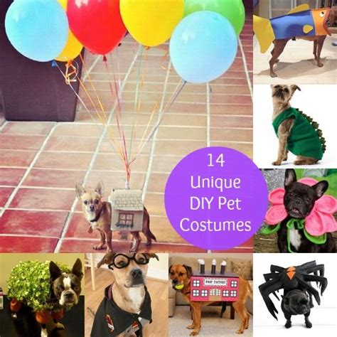 17 Best images about costume ideas on Pinterest | Halloween costumes ...