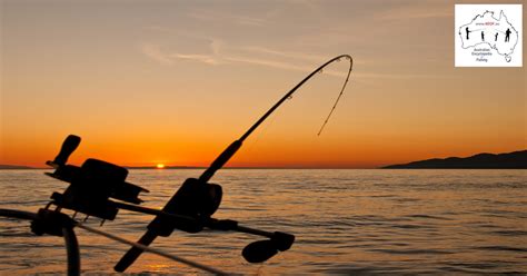 Discount Tackle - Fishing Gear Education Resource