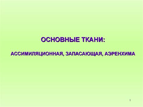Основные ткани: ассимиляционная, запасающая, аэренхима - презентация онлайн